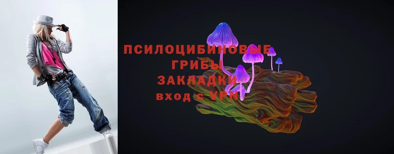 Галлюциногенные грибы Magic Shrooms  Слюдянка 